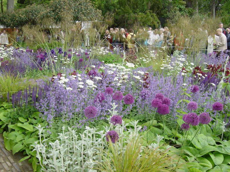 A Show Garden in RHS Chelsea Flower Show 2006