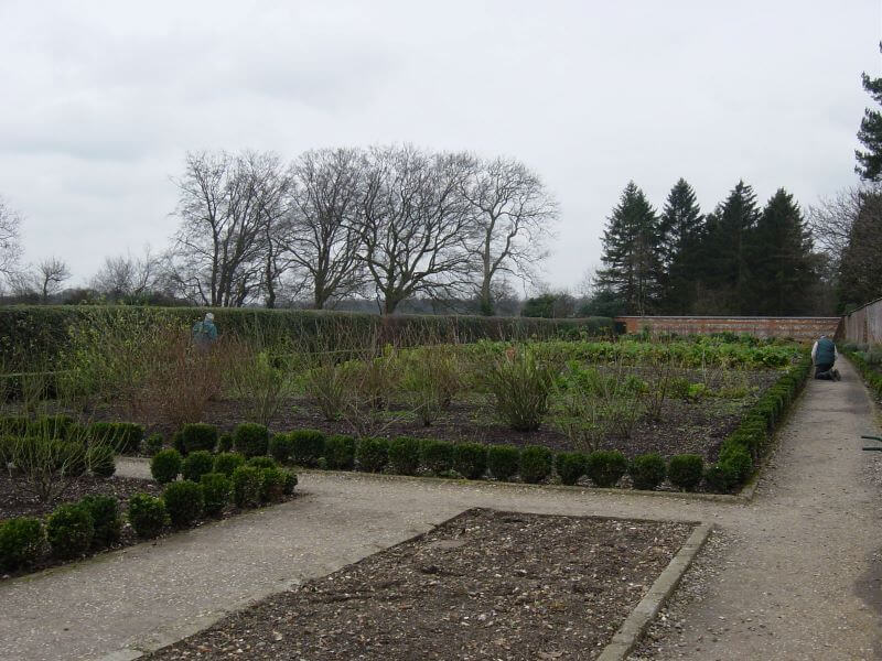 A Garden at Down House