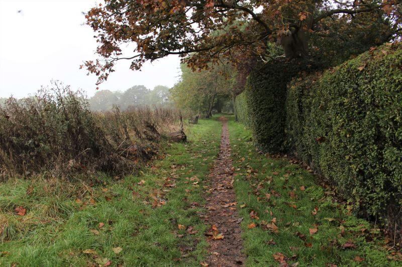 Hamstead Heath Extension