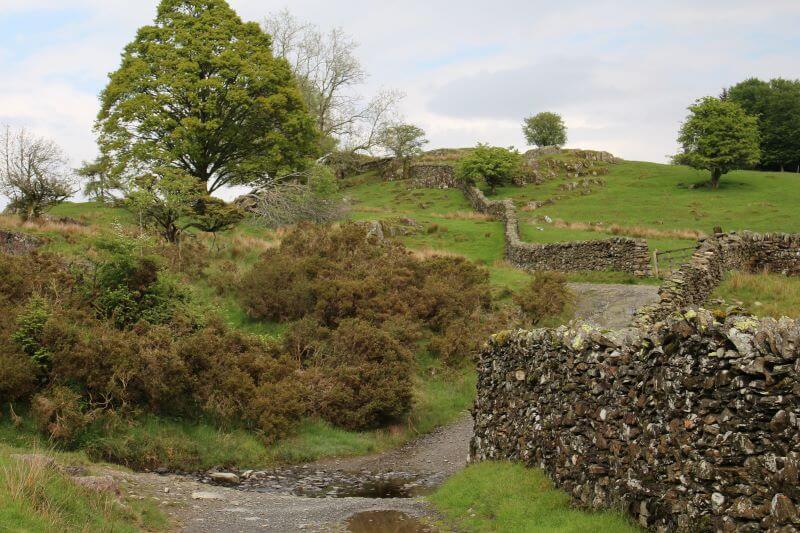 The Way to Moss Eccles Tarn