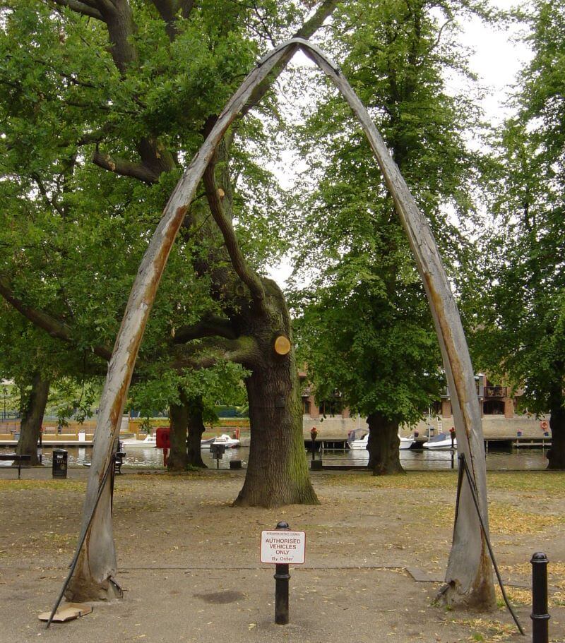 Whale bone Arch Workman Gardens Waterside Evesham