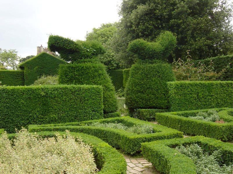 topiary at Hidcote Manor Garden