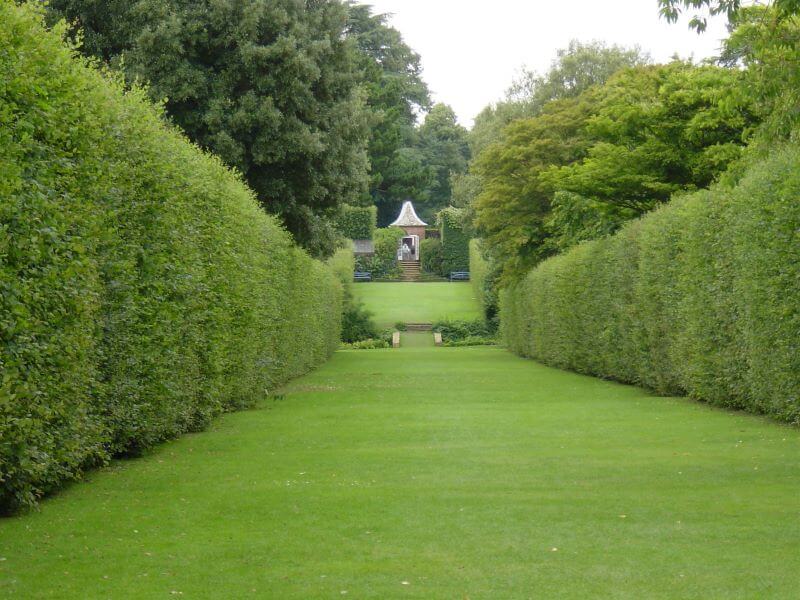 The Long Walk at Hidcote Manor Garden