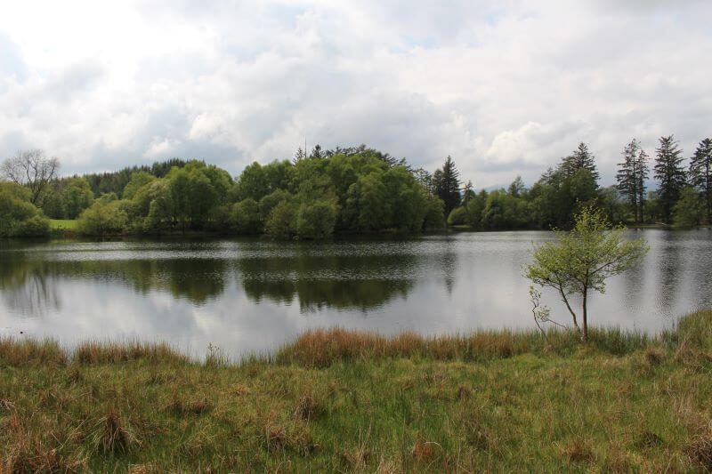 Moss Eccles Tarn