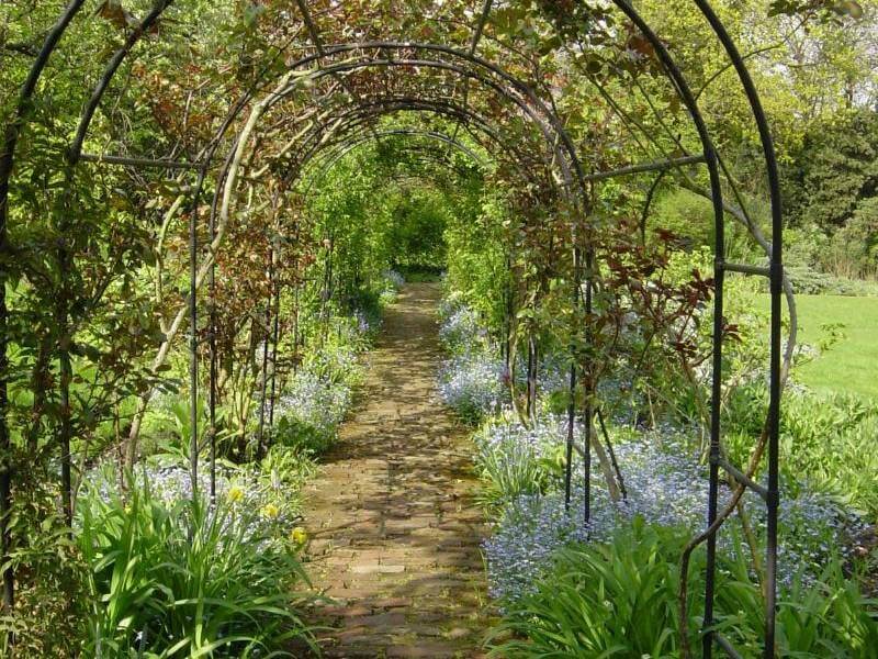 Garden in Red House