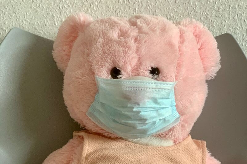 teddy bear in a mask